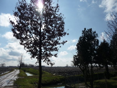 campagna dopo temporale