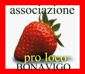 logo pro loco bonavigo