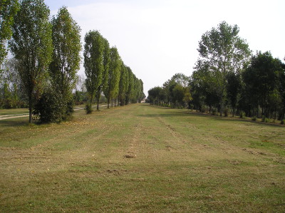 Bosco del Tartaro