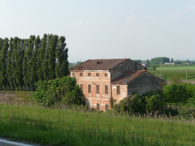 ciccio e la canolara