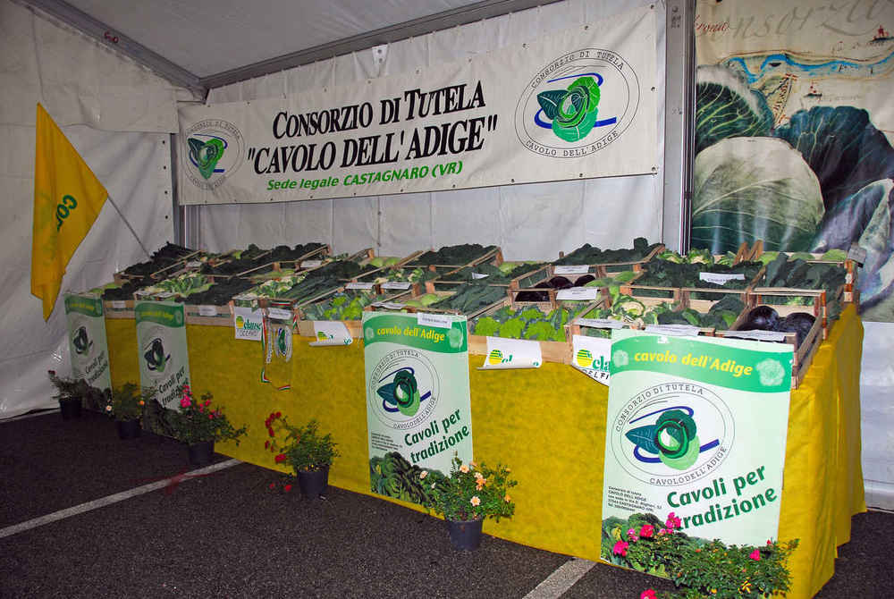 Festa del cavolo